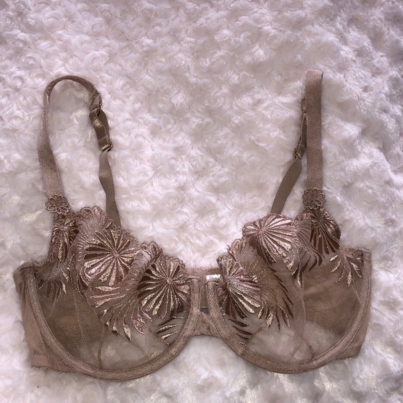 Wacoal Shear Lace Detail Bra - Picture 1 of 3